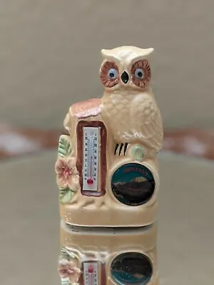 Vtg Ceramic Montana Owl Indoor Thermometer • $8