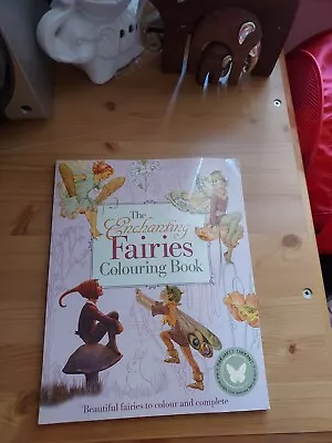 The Enchanting Fairies Colouring Book • £3