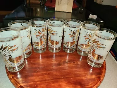 Vintage Frosted Glasses Gold Foil Pheasant Print Set Of 7 5.75  Tall • $35