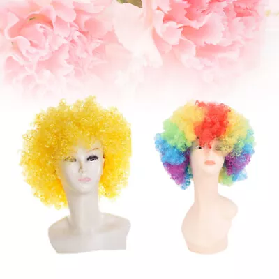 Rainbow Clown Wig 2Pcs Cosplay Hair Halloween Party Color Wigs • £12.58