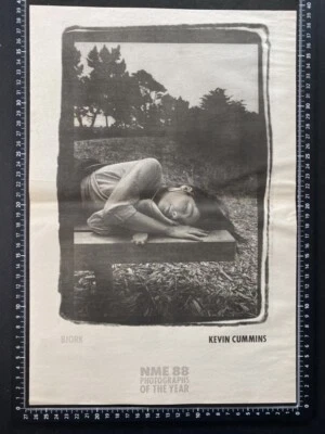£11.99 • Buy Bjork - Nme Photo Page - Talking Heads - 1985 Advert Poster L190