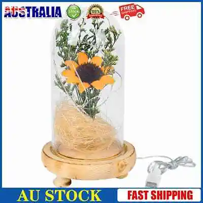 $20.56 • Buy Dried Sunflower In Glass Dome Micro Landscape Night Light Valentines Day Gift