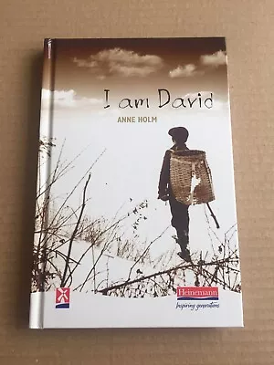 I Am David New Windmills Ks3 By Hoim Ms Anne Hardback Book • £3