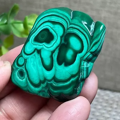 Malachite Slab / Slice  Polished Gemstone Mineral Specimen Congo 18g A14 • $17.50