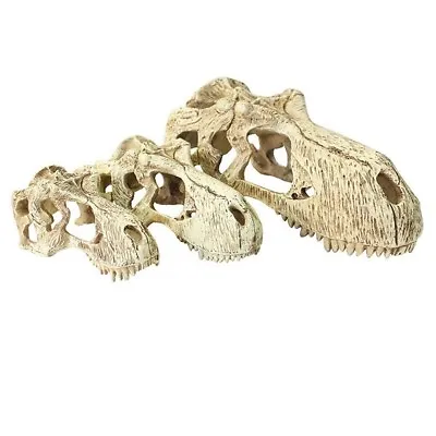 Komodo Reptile T-Rex Skull Resin Vivarium Dinosaur Ornament Hide Tank Decoration • £12.30