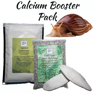 Calcium Booster Pack With Free Cuttlefish Great For Giant African Land Snails • £9.99