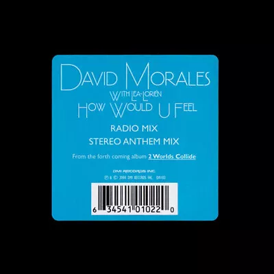 David Morales - How Would U Feel - Used CD - K6999z • £8.77