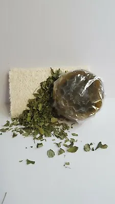 Moringa Leaf Loofah Soap 3 Pc Set - All Natural  - Made Fresh On Demand! • $14.25