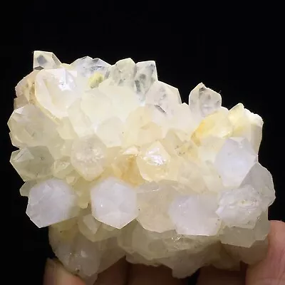 194g Museum Quality Transparent White Quartz Crystal Cluster Mineral Specimen • $36.96