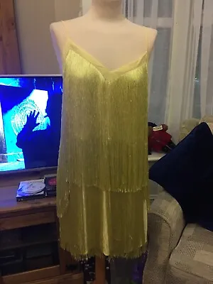 Stunning Zara Yellow Gatsby Fringed Charleston Dress Size L BNWT • £46