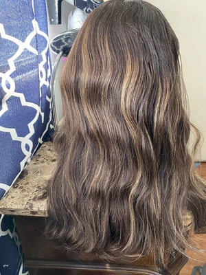 $1100 • Buy Human Hair Highlight Kosher Sheitel European Lace Frontal Wig From Ciona 24in