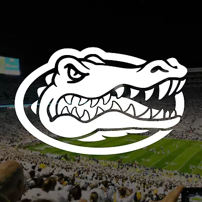 Florida Gators Vinyl Decal Sticker • $4.97