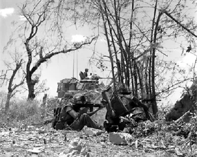 U.S. Marines With Tank Engage North Viet Cong Enemy 8x10 Vietnam War Photo 572 • $7.43