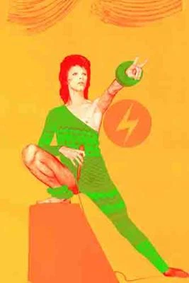 $19.99 • Buy David Bowie   1970's  Live Concert  Tour Promo Poster