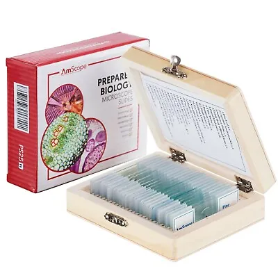 AmScope 25 Glass Prepared Microscope Slides With Wooden Box • $15.99