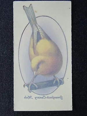 GREENFINCH CANARY MULE Aviary & Cage Birds TRANSFERS By John Player 1933 • £2.75