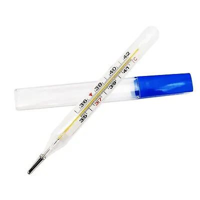 Mercury-Free Dual Scale Classic Traditional Glass Accuracy Thermometer 2ml • $2.99