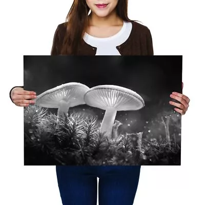 A2 - Magic Glowing Mushrooms Fantasy Poster 59.4X42cm280gsm(bw) #42265 • £11.99