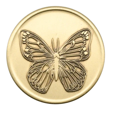 $6.29 • Buy Alcoholics Anonymous Butterfly With Serenity Prayer On Back AA Bronze Coin Token
