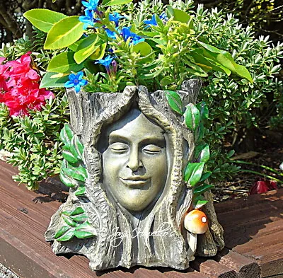 Garden Planter Green Man Tree Stump Flower Pot Ornament Tree Spirit Goddess Ent • £19.95