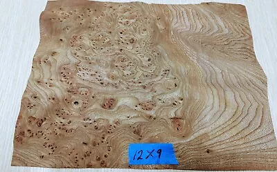 Carpathian Elm Burl Wood Veneer 9  X 12  Raw No Backer AA Grade 1/42  Thick • $35