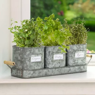 Antique Metal Herb Plant Pot Planter Set Of 3 Indoor Cooking Kitchen Pots • £23.99