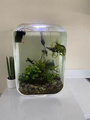 £150 • Buy BiOrb Life 60 MCR Aquarium - White