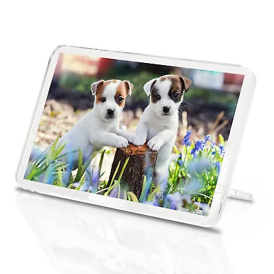 Jack Russell Puppies Classic Fridge Magnet - Dog Puppy Animal Cute Gift #8763 • £3.99