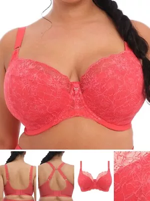 £28.95 • Buy Elomi Brianna Bra Half Cup Padded Underwired Lace Bras J-Hook Cayenne Lingerie