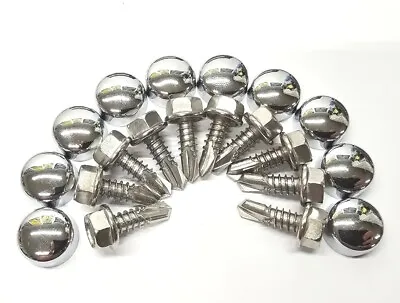 (10) Lund Cab Sun Moon Visor Mounting Hardware Stainless Screws & Chrome Caps • $22.95