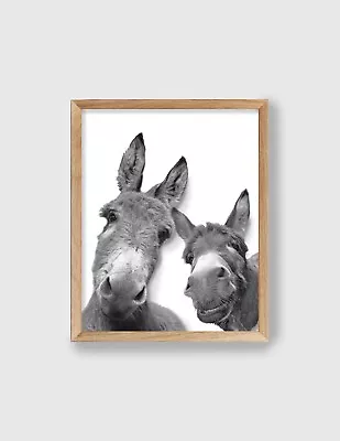 Donkey Wall Art Mexican Burros Print Funny Farm Animal Poster Cute Mule Decor • $21