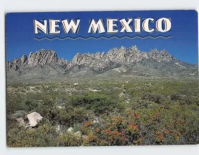 Postcard Organ Mountains New Mexico USA North America • $6.99