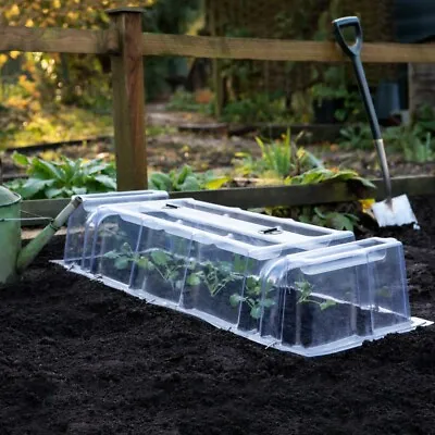 Mini Greenhouse Cloche Plastic Outdoor Garden Max Protect Cold Pests 1236 T&M • £49.99