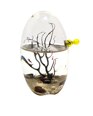 Enclosed Ecosystem Shrimp Ecosphere Oval • $110
