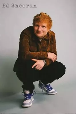 Impact Merch. Poster: Ed Sheeran 610mm X 915mm #395 • $12.95