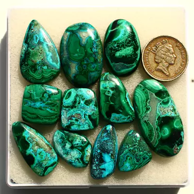 11 Pcs Natural Malachite Chrysocolla Top Grade 20mm-39mm Cabochon Gemstones Lot • $26.95