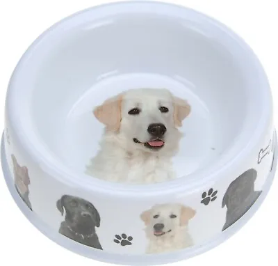 Large Melamine Dog Bowl Solid Non Slip Pet Food Water Bowl Dog Design Retriever  • £5.75