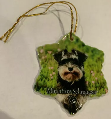 Miniature Schnauzer Dog Porcelain Star Shaped Christmas Ornament New  • $6.95