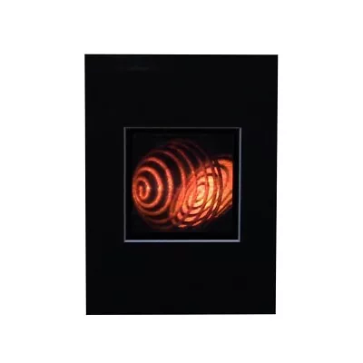 COIL 3D Hologram Picture MATTED Collectible Embossed Type Animated Stereogram • £14.43