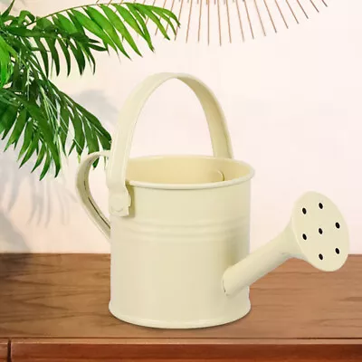 4pcs Metal Watering Can For Children's Garden Plant Flower-QX • £15.38