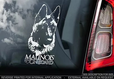 Belgian Malinois Car Sticker - Dog On Board Bumper Window Decal Sign Gift V07 • $5.53