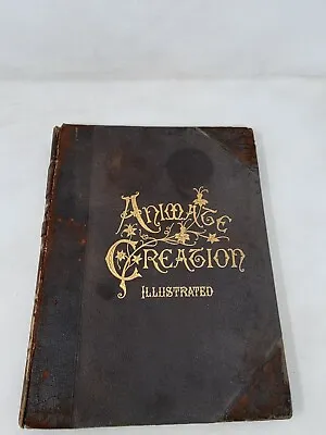1898 Animate Creation Books Vols 12356  Rev Wood Illustrated Natural History • $149.95