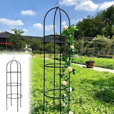 🔥1.9M Black Obelisk Outdoor Garden Metal Climbing Twisting Plant Support Frame • £12.95