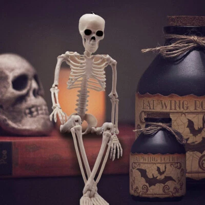 £7.38 • Buy Halloween Skeleton Props Human Skull Hand Life Body Anatomy Model Party Spooky