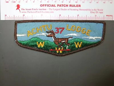 Boy Scout OA 37 Achtu Flap 1953EE • $54.99