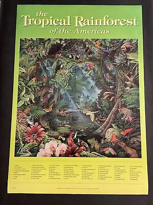 Vintage Poster: The Tropical Rainforest Of The Americas 1995 (38.5x26.75 In.) • $18.22