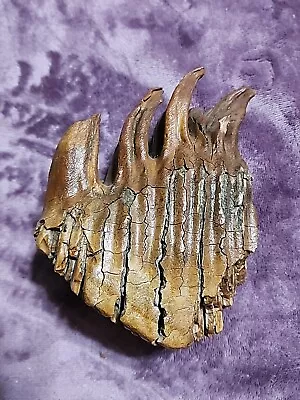 Woolly Mammoth  FOSSIL TOOTH  2 LB 2.1OZ  6  X 3  X 4  FROM ESTATE.  Fragile  • $175