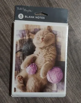 American Greetings All Occasion Cat Note Cards 8 Pack Kitten Blank Inside • $3.50