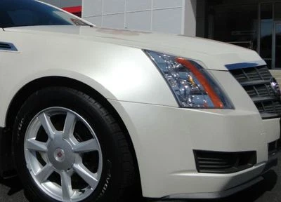 $42.99 • Buy BASF TouchUp Paint Bottle GM Chevy Cadillac White Diamond Pearl Tricoat WA800J