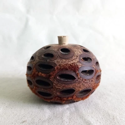 $26.50 • Buy Banksia Nut Oil Diffuser Hand Made Australian  Wood Birthday Gift